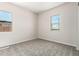 A bedroom with plush carpet and natural light through the two well-placed windows at 20262 W Hollyhock St, Buckeye, AZ 85396