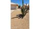 Front yard with gravel landscaping and cactus at 2605 N 133Rd Ave, Goodyear, AZ 85395