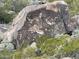 Ancient petroglyphs carved into a large rock in the desert landscape at 8619 N 192Nd Ave, Waddell, AZ 85355