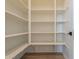 Large pantry with numerous shelves for food storage at 17990 W Long Lake Rd, Goodyear, AZ 85338