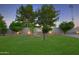 Landscaped backyard with grassy area at 1521 W Commerce Ave, Gilbert, AZ 85233