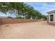 Spacious backyard featuring block wall, desert landscaping, and mature trees at 21921 S 197Th St, Queen Creek, AZ 85142