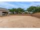 Large backyard featuring desert landscaping, a wall, and mature trees at 21921 S 197Th St, Queen Creek, AZ 85142