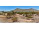 Desert landscape featuring native vegetation, mountains in background, and clear blue sky at 2920 E Shady Spring Trl, Phoenix, AZ 85024