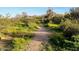 Scenic walking path through desert landscape at 2425 W Bronco Butte Trl # 2017, Phoenix, AZ 85085