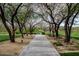 Scenic walking path lined with mature trees at 2425 W Bronco Butte Trl # 2017, Phoenix, AZ 85085