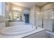 Bathroom with soaking tub and walk-in shower at 19020 W Ocotillo Rd, Waddell, AZ 85355