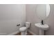 Stylish powder room with pedestal sink and oval mirror at 19014 W Ocotillo Rd, Waddell, AZ 85355