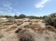 Large desert lot with a view of a home in the background at 31818 N 68Th St, Cave Creek, AZ 85331