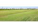 Large grassy field in the community is perfect for soccer or outdoor activities at 1531 W Plana Ave, Mesa, AZ 85202