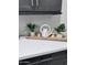 Decorated kitchen countertop with plants and a ceramic teapot-shaped sculpture at 22205 W Ocupado Dr, Wittmann, AZ 85361