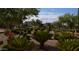 Well-manicured landscaping featuring various plants and trees at 1255 N Arizona Ave # 1099, Chandler, AZ 85225