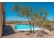 Backyard pool area with a desert tree offering natural shade on a sunny day at 3518 N Shadow Trl, Mesa, AZ 85207
