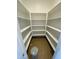 Bright walk-in pantry with ample shelving at 1184 E Gleneagle Dr, Chandler, AZ 85249