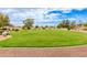 Expansive grassy backyard with mature trees, ideal for recreational activities and outdoor enjoyment at 5312 N Sierra Hermosa Ct, Litchfield Park, AZ 85340