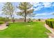 Expansive backyard featuring lush green grass, mature trees, and a well-maintained landscape at 5312 N Sierra Hermosa Ct, Litchfield Park, AZ 85340