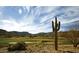 Scenic golf course view with a large saguaro cactus in the foreground and mountain views in the background at 20358 W Calle Encorvada --, Buckeye, AZ 85396