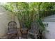 Inviting outdoor seating area featuring a tranquil bamboo backdrop and charming decorative accents at 8101 N Central Ave # 6, Phoenix, AZ 85020