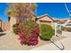 Landscaped front yard featuring lush bushes and colorful flowers, adding curb appeal to this lovely home at 22882 E Marsh Rd, Queen Creek, AZ 85142