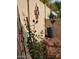 Close-up of backyard wall decor with desert plants and bougainvillea at 12122 N Finch Dr, Fountain Hills, AZ 85268