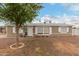 Inviting single-story home with desert landscaping, green tree, and charming curb appeal at 244 N Hawes Rd, Mesa, AZ 85207