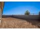 Large backyard with block wall and new sod at 16405 W Desert Mirage Dr, Surprise, AZ 85388