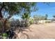 Spacious backyard with various plants and trees in pots at 4833 N 69Th Dr, Phoenix, AZ 85033