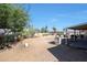 Large backyard with mature trees, plants, and a patio area at 4833 N 69Th Dr, Phoenix, AZ 85033