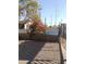 A Bougainvillea blooms near a metal fence in the yard at 1006 S 3Rd Ave, Phoenix, AZ 85003