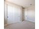 Bright bedroom with plush carpeting, a double door closet, and a single door with black hardware at 32018 N 117Th Ave, Peoria, AZ 85383