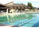 Community swimming pool with lounge chairs and covered patio area at 17200 W Bell Rd # 1743, Surprise, AZ 85374
