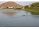 Peaceful community pond offers views of lush reeds and wildlife at 29101 N Yellow Bee Dr, San Tan Valley, AZ 85143