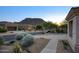 Picturesque street showcasing desert landscaping, a peak of the mountain, and a well-kept neighborhood at 11566 E Christmas Cholla Dr, Scottsdale, AZ 85255
