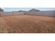 An empty backyard with a block wall around the perimeter at 3337 E Alexander Dr, San Tan Valley, AZ 85143