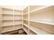Walk-in pantry with ample shelving for storage and organization to maximize space at 42086 W Solitare Dr, Maricopa, AZ 85138