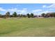 Large grassy field perfect for recreation at 36833 W La Paz St, Maricopa, AZ 85138
