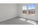 Bright carpeted bedroom with large window at 19964 W Marshall Ave, Litchfield Park, AZ 85340