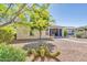 Landscaped backyard with gravel and cactus at 12368 W Running Deer Trl, Peoria, AZ 85383