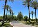 Landscaped community entrance with palm trees and curved road at 12368 W Running Deer Trl, Peoria, AZ 85383
