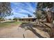 Exterior view of a ranch style home featuring mature landscaping and a dirt front yard at 26415 S Recker Rd, Queen Creek, AZ 85142
