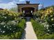 Beautiful courtyard entrance with mature flowering shrubs, walkway, and covered entry at 11179 E Honda Bow Rd, Scottsdale, AZ 85262