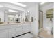 Well-lit bathroom features dual sinks, a skylight, and a separate shower at 10224 E Michigan Ave, Sun Lakes, AZ 85248