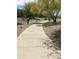 Well-maintained community walking path lined with desert landscaping, offering a pleasant and accessible outdoor experience at 16682 W Pacheco Ct, Surprise, AZ 85387