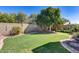 Backyard with grassy lawn and a large tree at 19219 N 33Rd Ave, Phoenix, AZ 85027