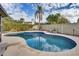 Beautiful backyard pool with desert landscaping, palm tree, and a calming water feature for a serene outdoor experience at 19219 N 33Rd Ave, Phoenix, AZ 85027
