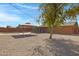 Relaxing backyard featuring desert landscaping, pool, lounge area, and mature tree at 2246 W Mulberry Dr, Phoenix, AZ 85015