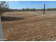 Scenic view of raw, expansive land with scattered desert vegetation and clear blue skies at 31214 N 167Th Ave, Surprise, AZ 85387