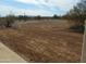 Vast, undeveloped land displaying desert landscape and distant mountain views at 31214 N 167Th Ave, Surprise, AZ 85387