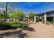 Spacious backyard with lush landscaping, a custom gazebo, and ample room for outdoor recreation at 6620 E Stallion Rd, Paradise Valley, AZ 85253