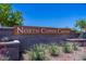 Landscaped entrance sign for North Copper Canyon with block wall and flowering plants against a blue sky at 18156 W Cielo Grande Ave, Surprise, AZ 85387